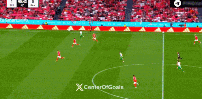 完整的防线, 本菲卡在下, 阿维河 完整的防线, 本菲卡在下, 阿维河