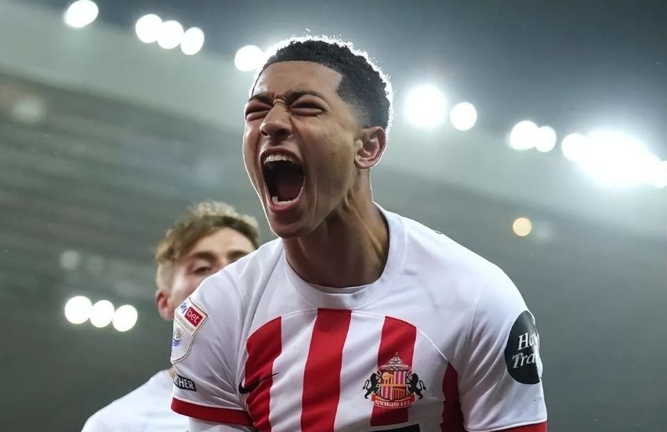 AWB, 万欧元, 哥哥大贝林 AWB, 万欧元, 哥哥大贝林